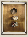 Brass & Brine: Low Tide, Lowball